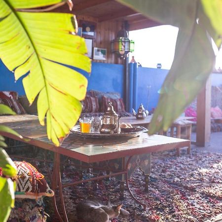 The Lunar Surf House Tamraght المظهر الخارجي الصورة