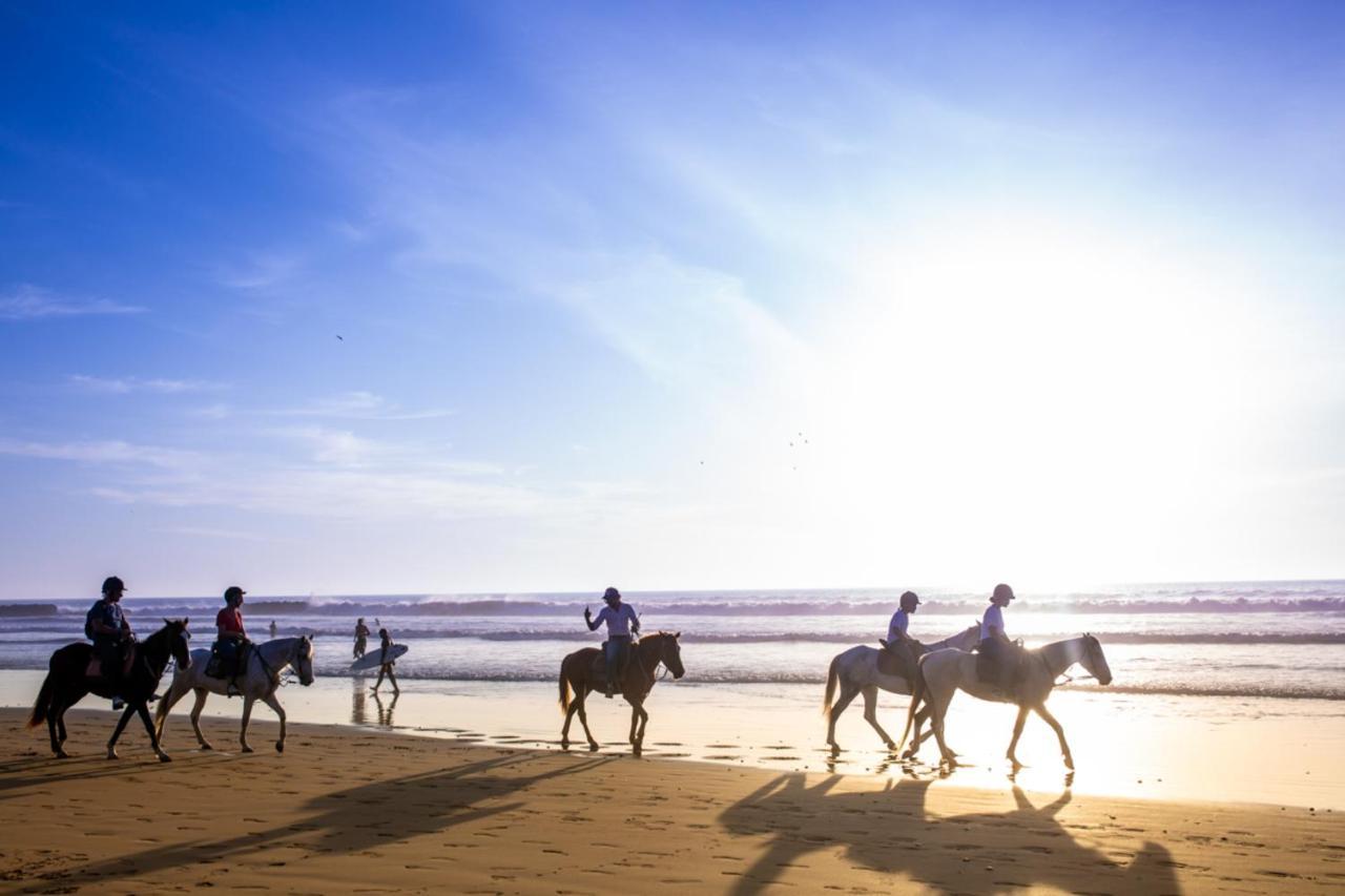 The Lunar Surf House Tamraght المظهر الخارجي الصورة