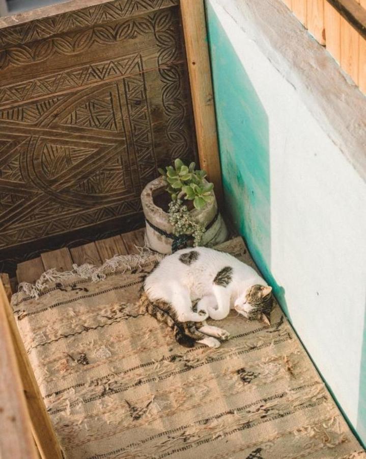 The Lunar Surf House Tamraght المظهر الخارجي الصورة