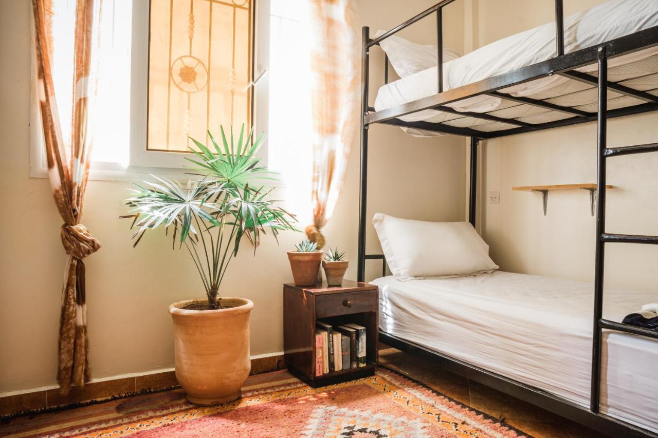 The Lunar Surf House Tamraght المظهر الخارجي الصورة